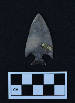 Ce.1786