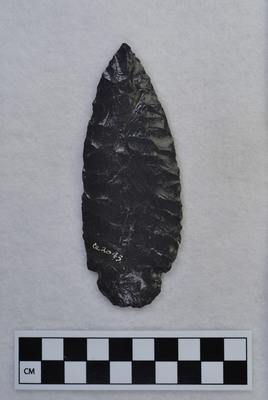 Ce.2043