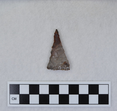 Ce.2733