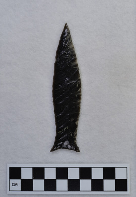 Ce.2817