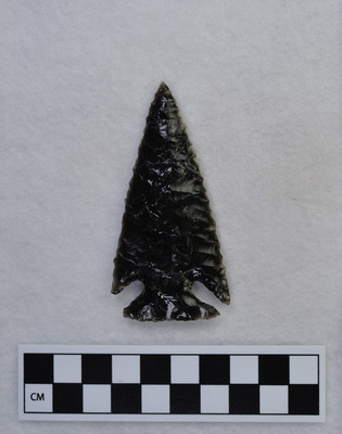 Ce.2878