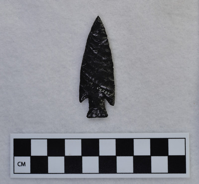Ce.2893
