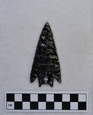 Ce.3576