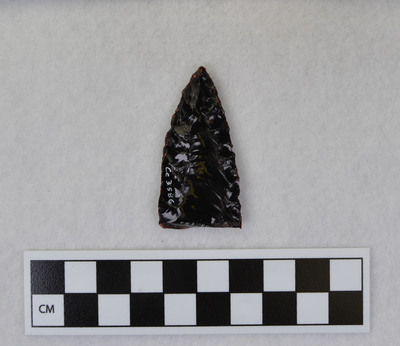 Ce.3586