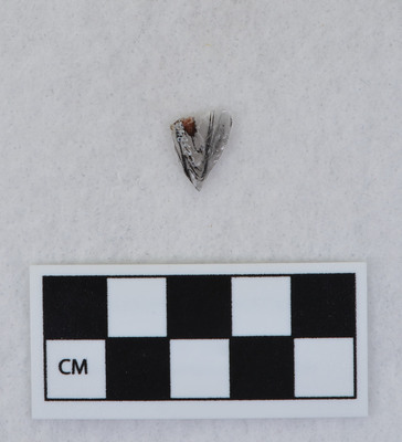 Ce.3842