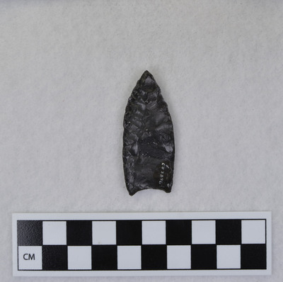 Ce.3896