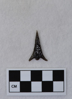 Ce.4101