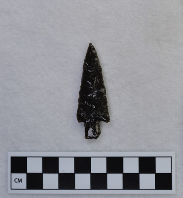 Ce.4129