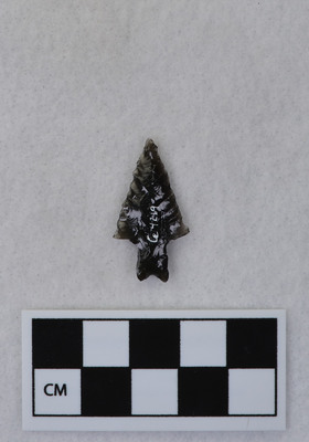 Ce.4219