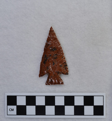 Ce.4317