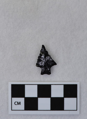 Ce.4329