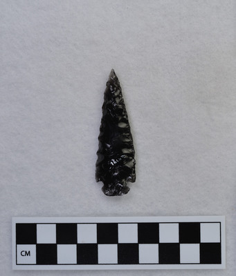 Ce.4341