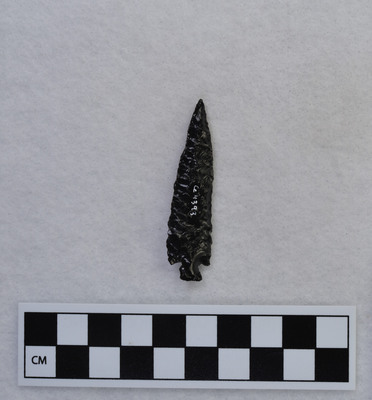 Ce.4393