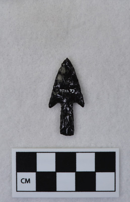 Ce.4426
