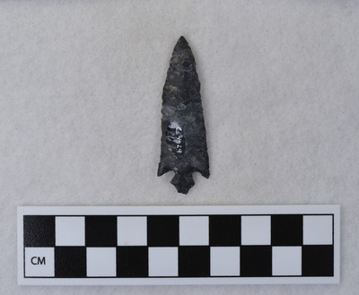 Ce.4429
