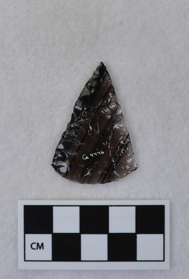 Ce.4446