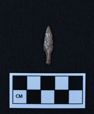 Ce.7698