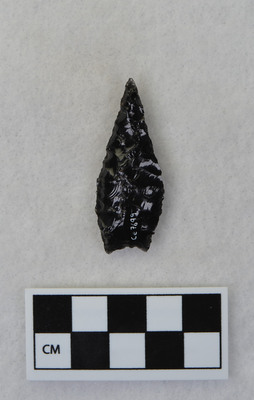 Ce.7699