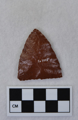 Ce.7798
