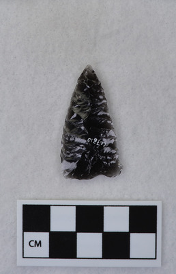 Ce.7810