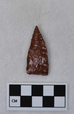 Ce.7831