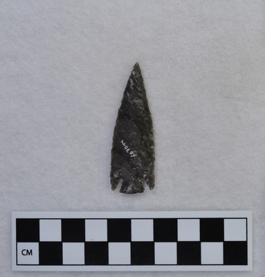 Ce.7844