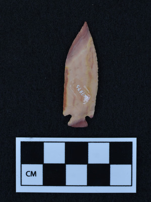 Ce.7875