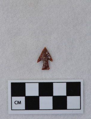 Ce.924