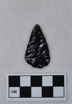 Ce.9598