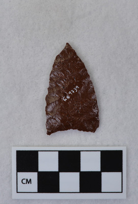 Ce.9739