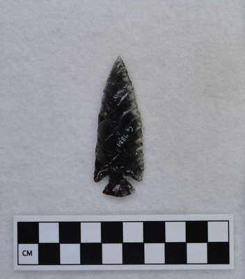 Ce.9821
