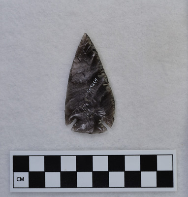 Ce.9854