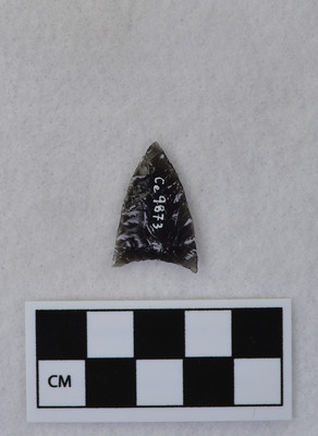 Ce.9873