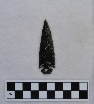 Ce.9885