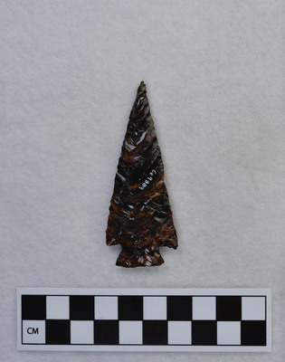 Ce.9889