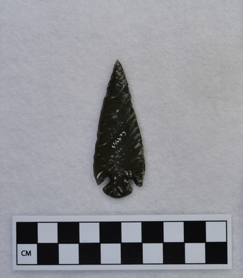 Ce.9955