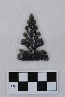 Ce.1147