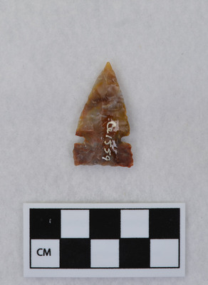 Ce.1559