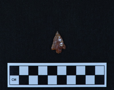 Ce.1677