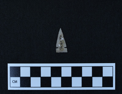Ce.1976