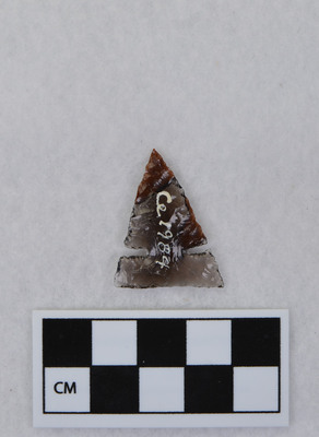 Ce.1984