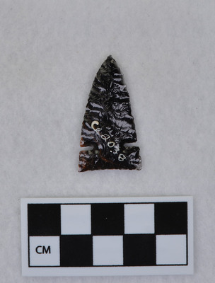 Ce.2038