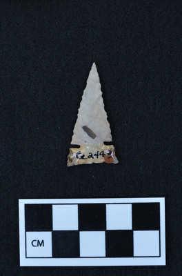Ce.2443