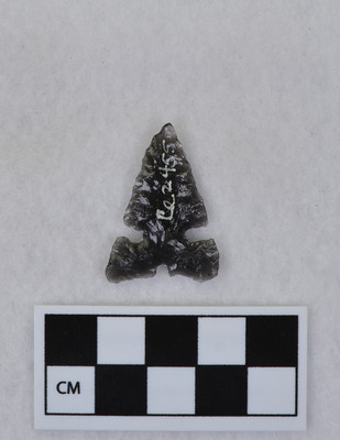 Ce.2455