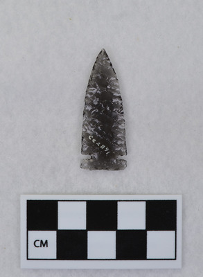 Ce.2891