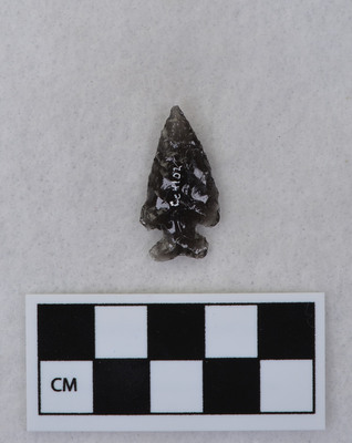 Ce.4102