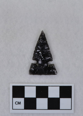 Ce.4107