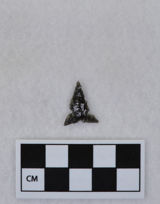 Ce.4161