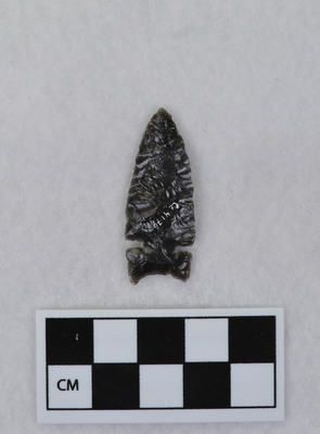 Ce.4176
