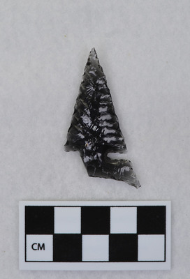 Ce.4181